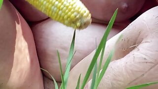 Corn Porn Video