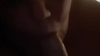 Bbw blowjob