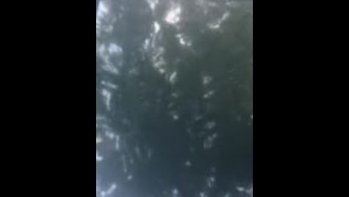 just a lot of under water :)